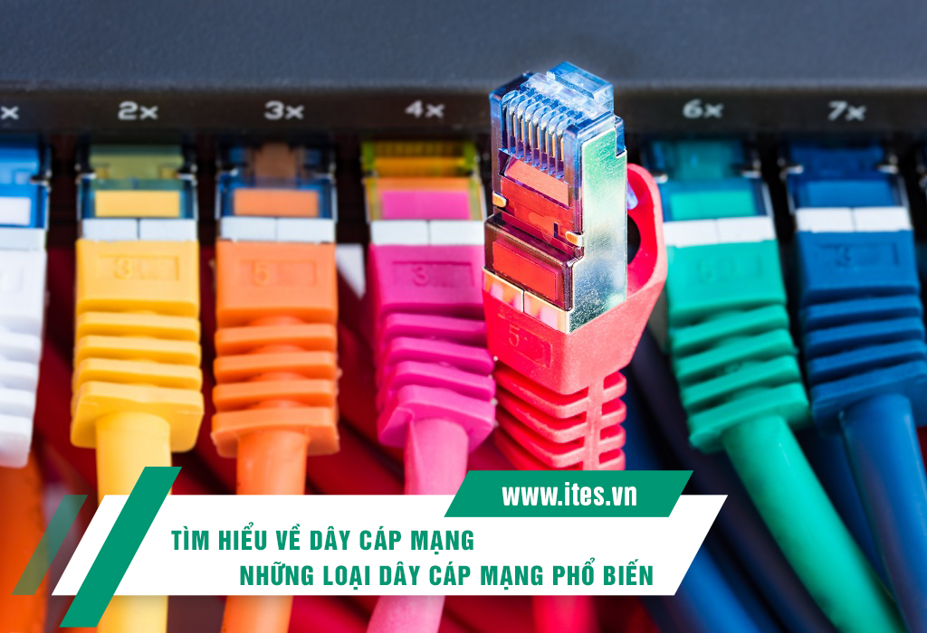 tim-hieu-day-cap-mang-la-gi-cac-loai-day-cap-mang-pho-bien-va-ung-dung-thuc-te